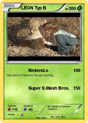 Pokemon LEON Typ B