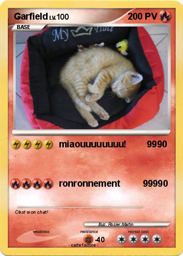 Pokemon Garfield