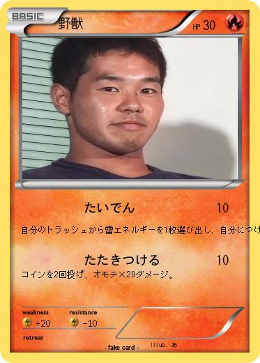 Pokemon 野獣