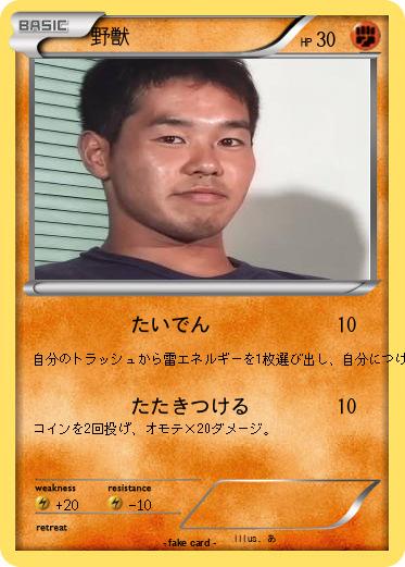 Pokemon 野獣