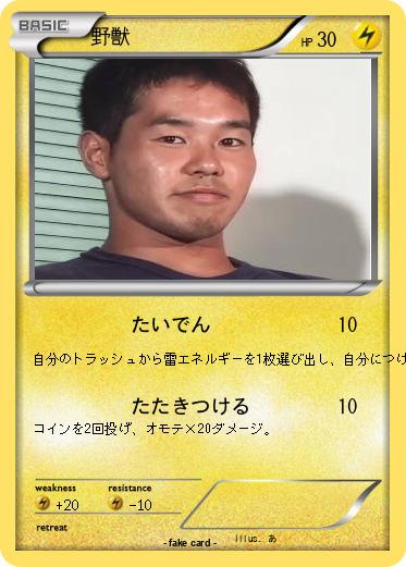 Pokemon 野獣
