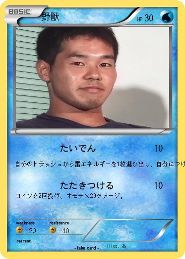 Pokemon 野獣