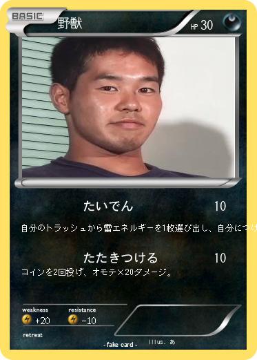 Pokemon 野獣