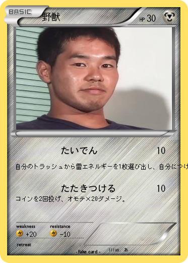 Pokemon 野獣
