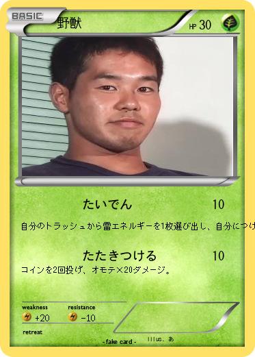 Pokemon 野獣