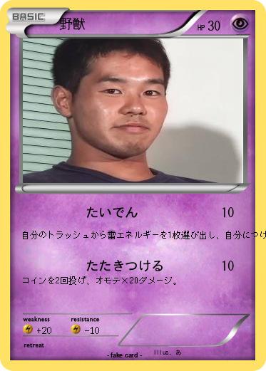 Pokemon 野獣