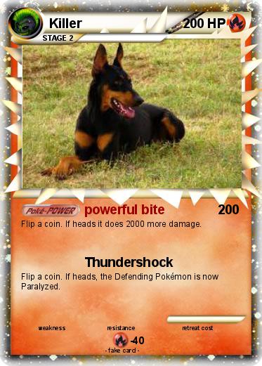 Pokemon Killer