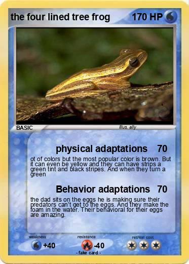 Pokemon the four lined tree frog