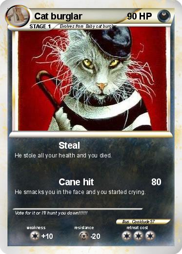 Pokemon Cat burglar
