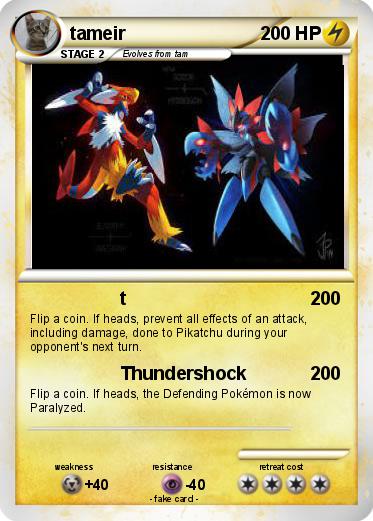 Pokemon tameir
