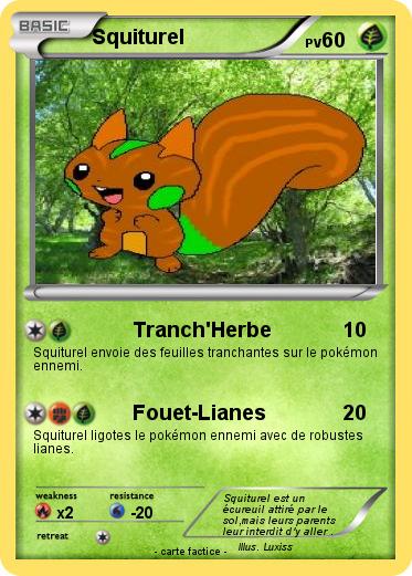 Pokemon Squiturel
