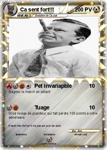 Pokemon Ca sent fort!!!