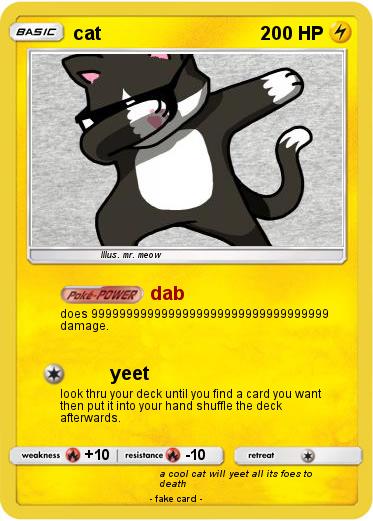 Pokemon cat
