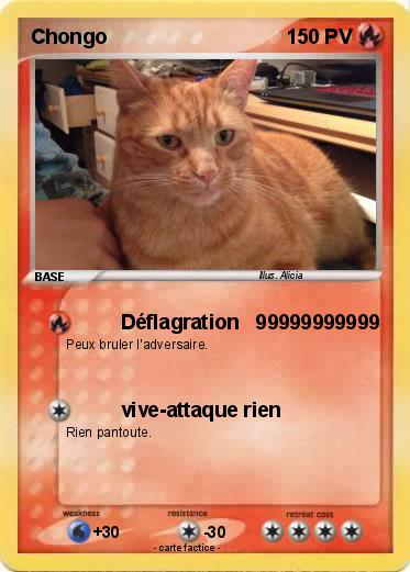 Pokemon Chongo