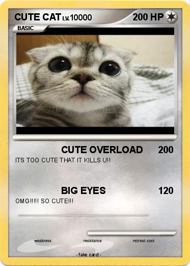 Pokemon CUTE CAT