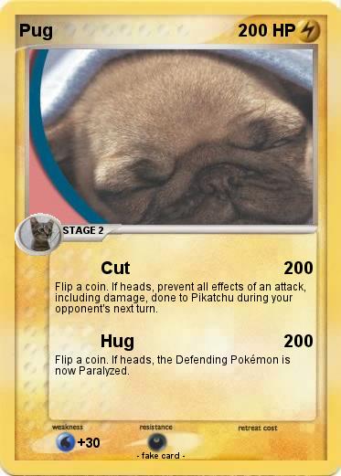 Pokemon Pug
