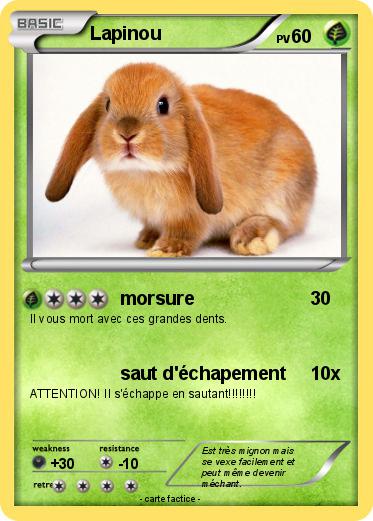 Pokemon Lapinou