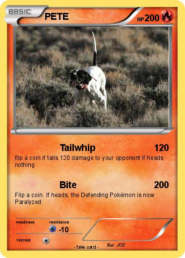 Pokemon PETE