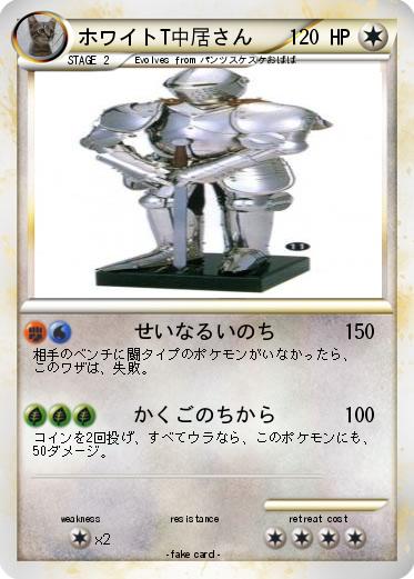 Pokemon ホワイトT中居さん