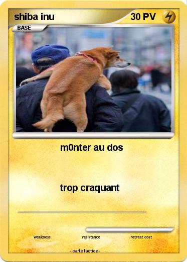 Pokemon shiba inu