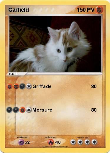 Pokemon Garfield