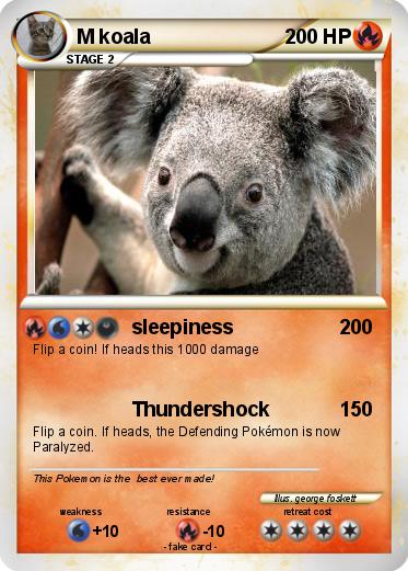 Pokemon M koala