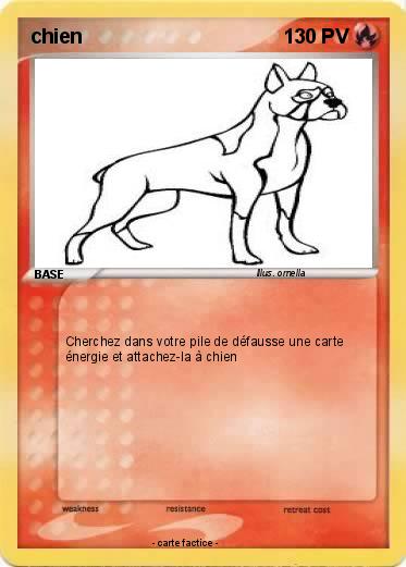 Pokemon chien