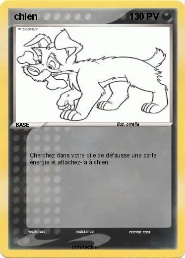 Pokemon chien