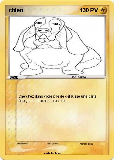 Pokemon chien