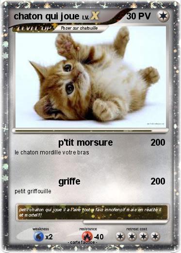 Pokemon chaton qui joue