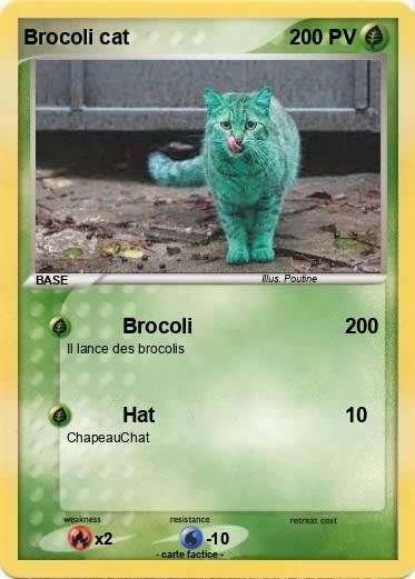 Pokemon Brocoli cat