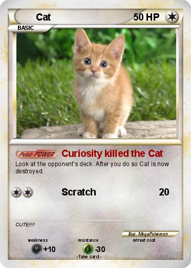 Pokemon Cat