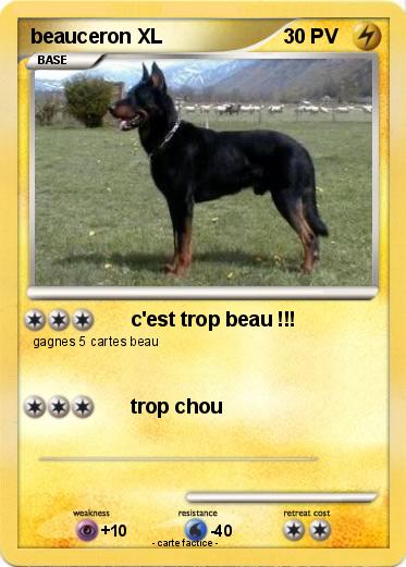 Pokemon beauceron XL