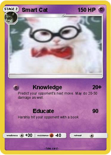 Pokemon Smart Cat