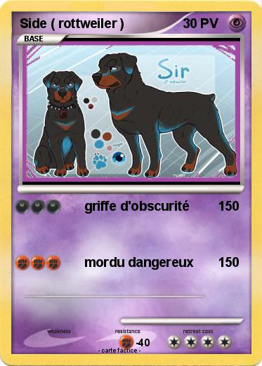 Pokemon Side ( rottweiler )