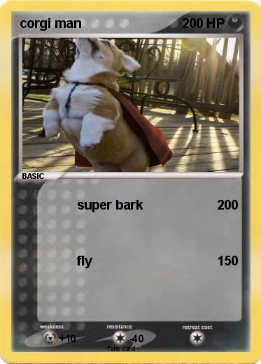 Pokemon corgi man
