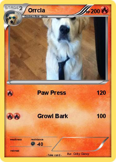 Pokemon Orrcla