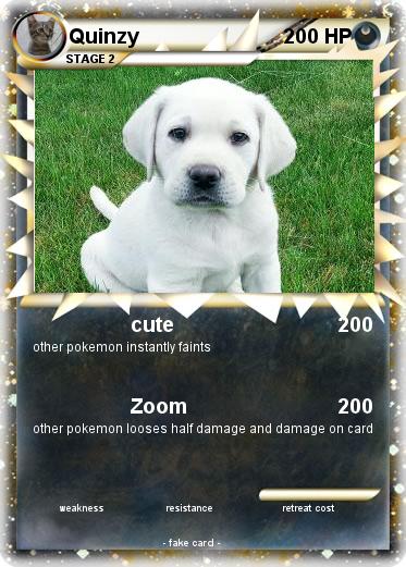 Pokemon Quinzy