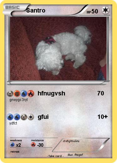 Pokemon Santro