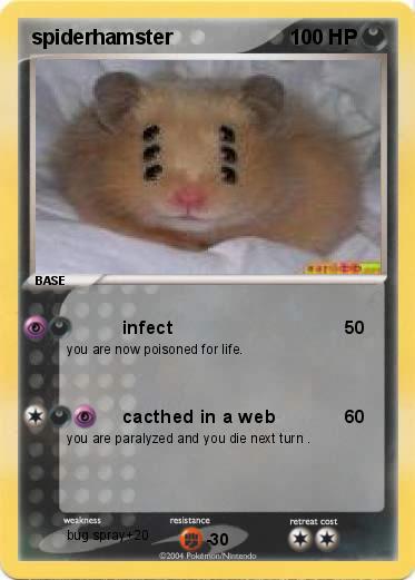 Pokemon spiderhamster