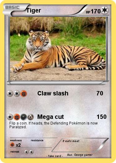 Pokemon Tiger