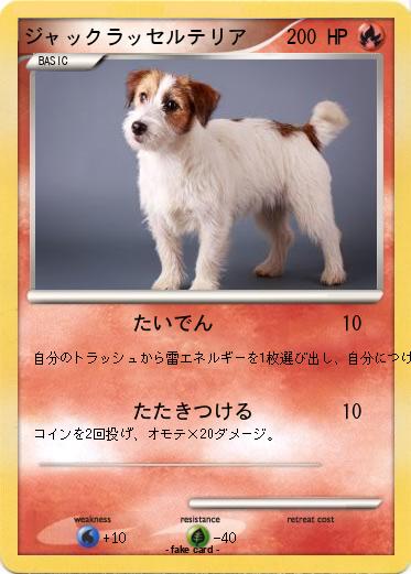 Pokemon ジャックラッセルテリア
