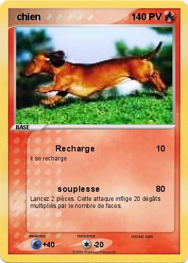 Pokemon  chien