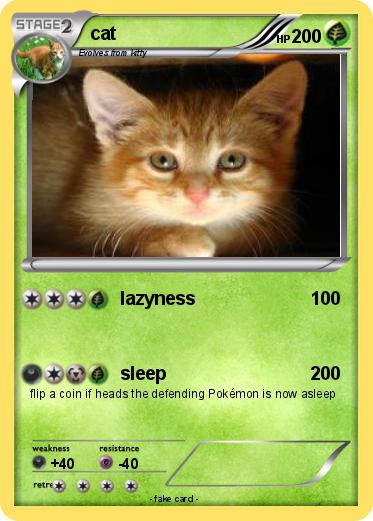 Pokemon cat