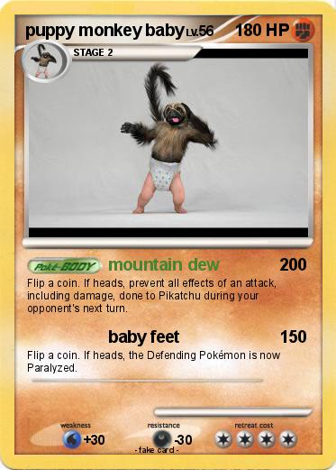 Pokemon puppy monkey baby