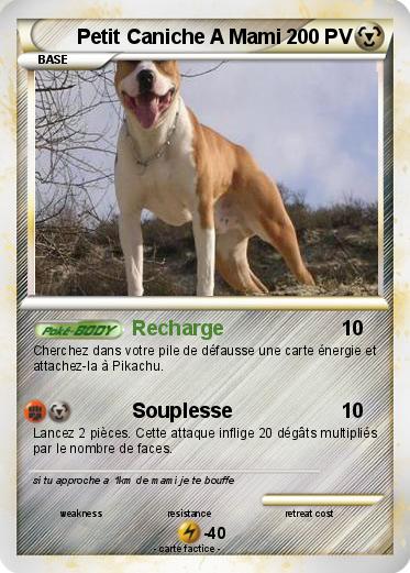 Pokemon Petit Caniche A Mami
