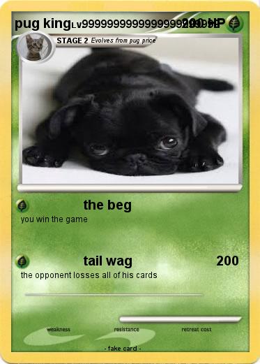Pokemon pug king