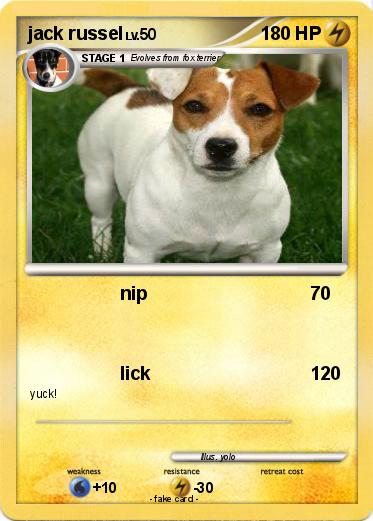 Pokemon jack russel