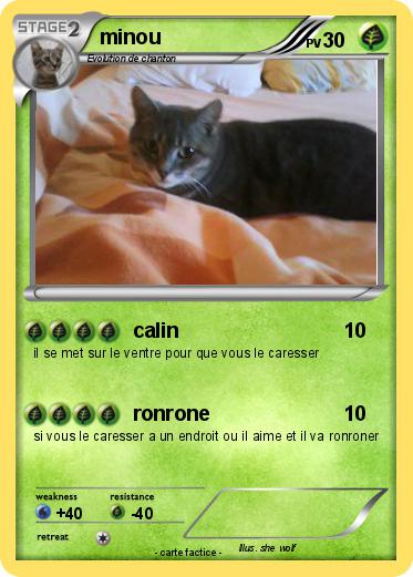 Pokemon minou
