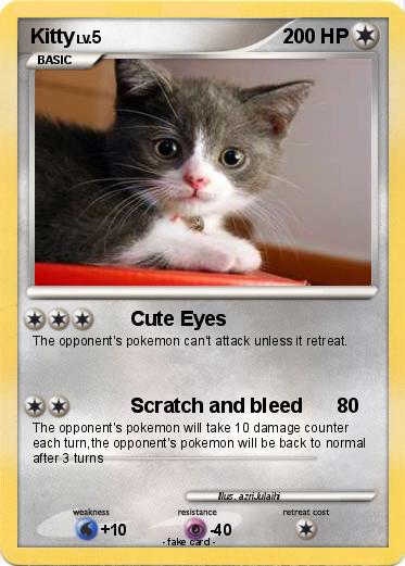 Pokemon Kitty